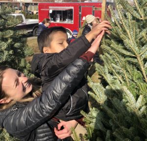 2019 christmas tree outing trees
