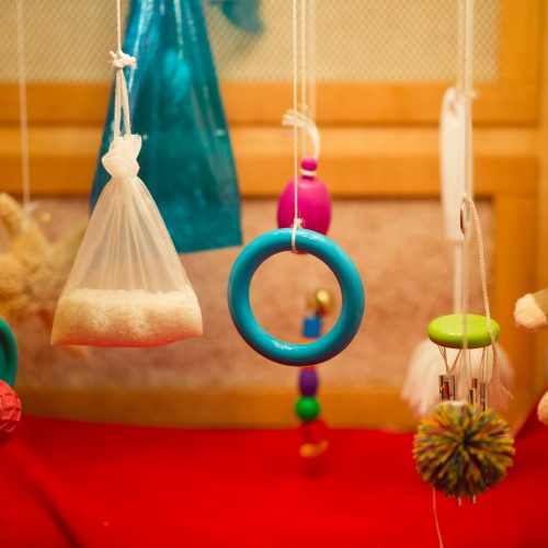 Baby toys used for exploration