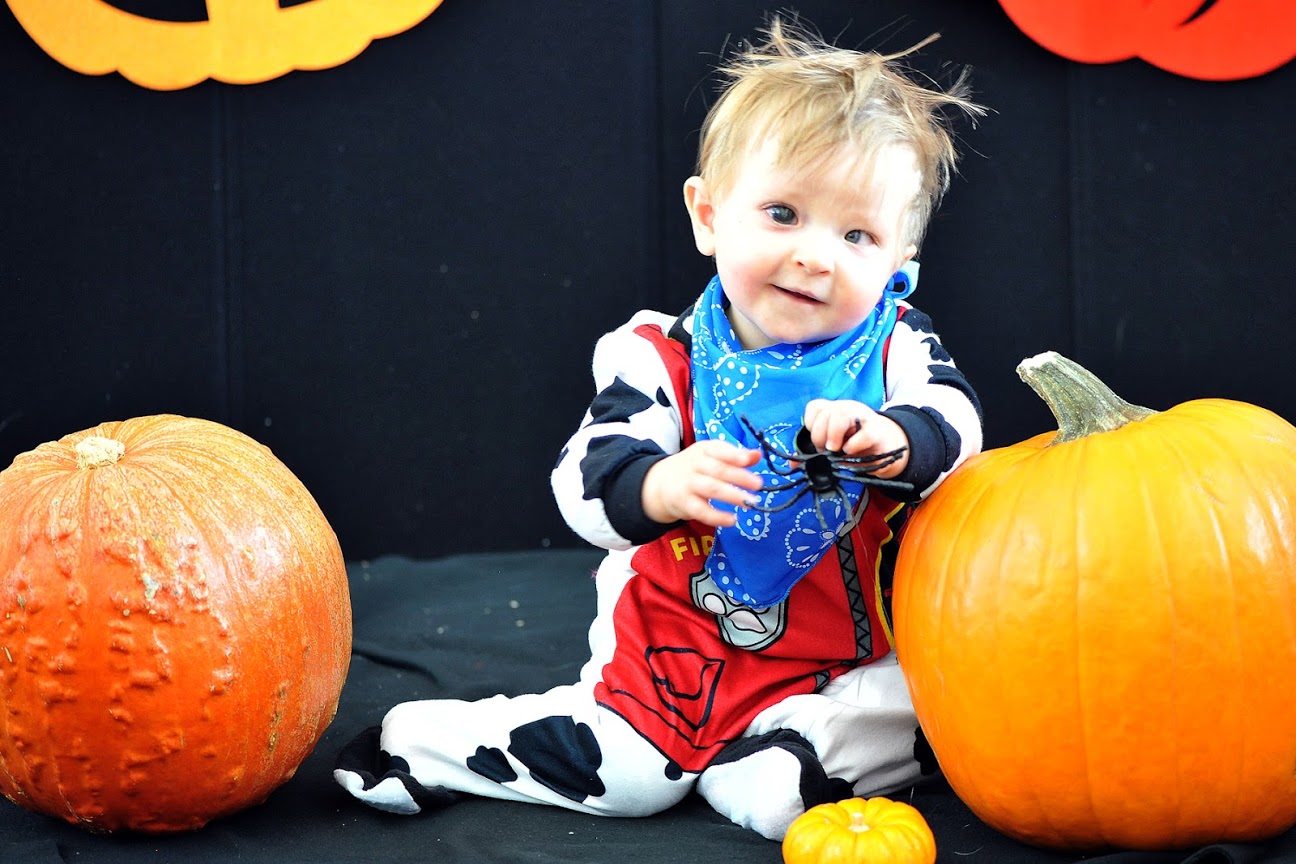 halloween dalmation