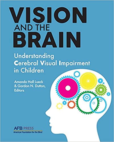 vision and the brain book