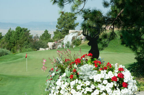 sanctuary golf
