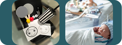 Early Vision Screening Using the Neonatal Assessment Visual European Grid (NAVEG)